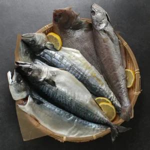 제주 올래 반건조 혼합(고등어+삼치+가자미+민어 각1미)