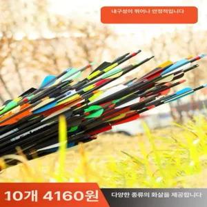 양궁 수렵활 컴파운드보우 보송보송한 탄소화살 진우