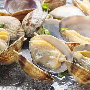 국내산 왕바지락 2kg