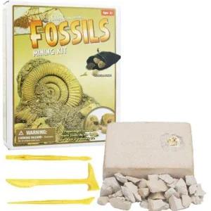 [셀러허브]화석을 직접 발굴하는 체험 고고학의 이해 세트 A01956 (S31268824)