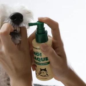 강아지 치석 제거 스프레이 강아지 치주염 치료 잇몸 염증 치약 스프레이