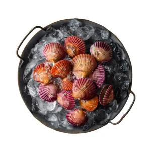 [억수로상회] 남해안 제철 토종 가리비(25~30미) 3kg