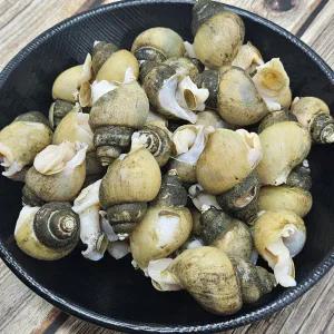 국내산 급냉 골뱅이 흑고동 1kg(35~50미)