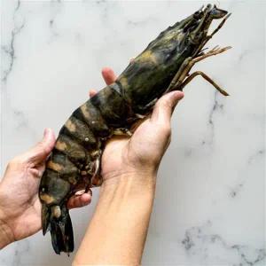 징거미 새우 블랙 타이거 냉동 킹타이거 민물 쉬림프 소금구이 튀김 500g