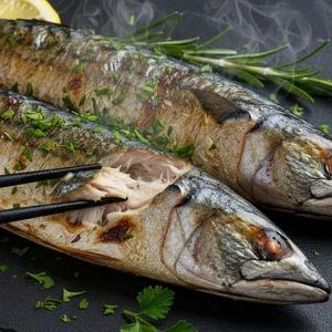 [엠픽] 산지직송 통영 생물 삼치(소)대용량 4-5미(마리당 4-500g)