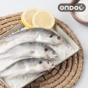 [롯데백화점]온도씨 [온도씨]국내산 제주 백조기 750g (1팩/3-4마리)