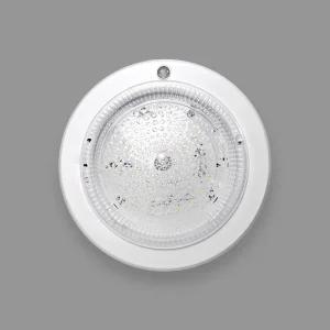 블링라이트 KDT LED 15W 현관 매입 센서등, 화이트 + 주광색, 1개