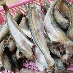 동해안 반건조 도루묵 도로묵 300g 9-11미