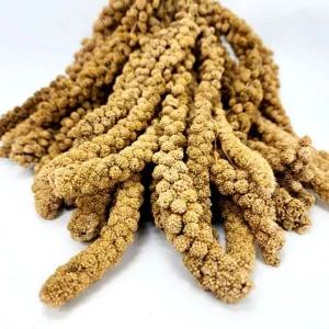 대용량 옐로우 밀렛 스프레이 500g 앵무새 천연 간식