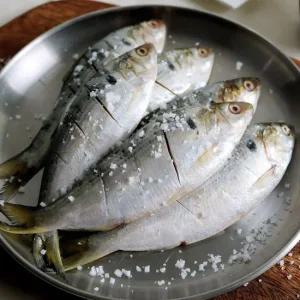 HACCP 국내산 자연산 구이용 전어 1kg (5미내외)