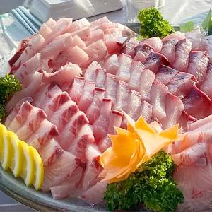 제철 자연산 대방어회 2-3인분/500g내외 (초장+김)