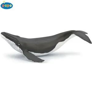 동물 피규어 파포 시간이 필요한 아기 혹등고래