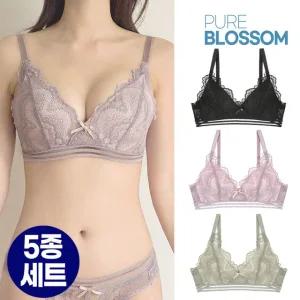 [퓨어블라썸][5종세트] 노와이어 푸쉬업 볼륨 로맨틱 레이스 브라
