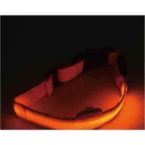 LED 애견목줄_옐로우 발광 2단계 목걸이