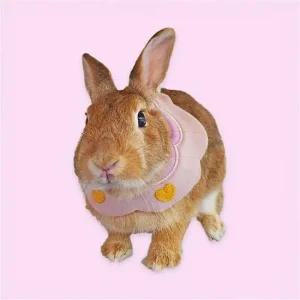 턱받이 소 애견스카프 강아지 B