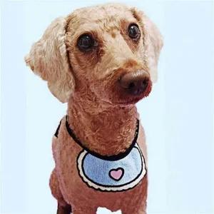 강아지 턱받이 소형 애견 스카프 A