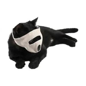 고양이 베이지 입가리개 트렌드 L 1P 데일리 방지 미