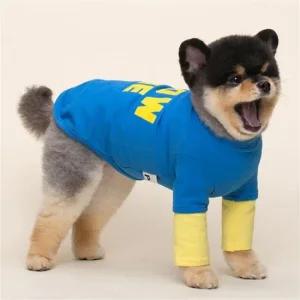 쇼미 블루 S 강아지올인원