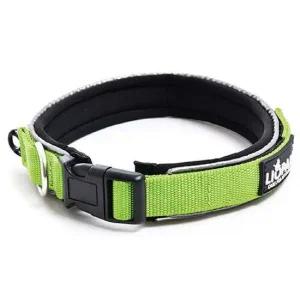 반려견 목줄 그린 XL 1P 강아지 목걸이 애견 산책용품