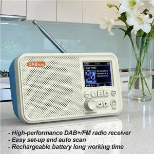 휴대용 핸즈프리 MP3 음악 플레이어 C10 DAB/DAB  FM 디지털 라디오 LED 스피커