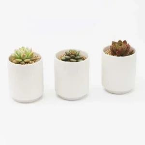 다육이도자기화분 다육이 백토세라믹화분 반려식물 백토