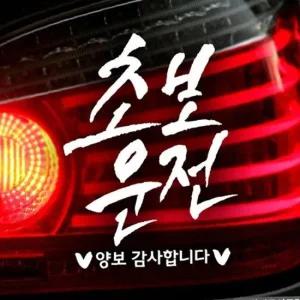 ksr 초보운전 캘리텐션 초보자동차스티커 화이트