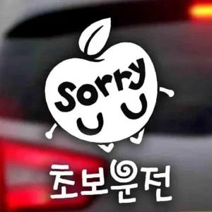 ksr 자동차스티커 사과sorry 초보운전 반사시트지