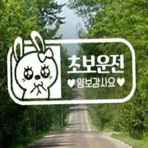 ksr 애교토끼 초보운전 양보감사요 자동차스티커 화이트