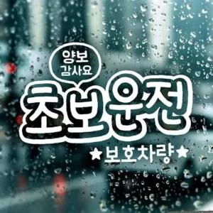 ksr 양보감사용 초보운전 초보자동차스티커 화이트