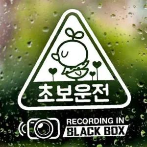 ksr 자동차스티커 초보운전 삐약이세모 블랙박스 반사