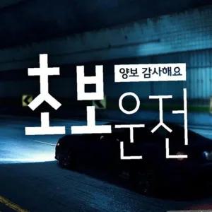 ksr 양보감사초보운전 고딕체 초보자동차스티커 화이트