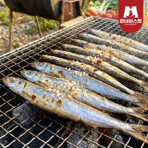 (새벽조업) 쫀득하고 오동통한 생물 양미리 1kg (30~40미)