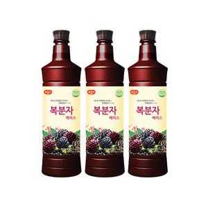 광야 음료 복분자 베이스 970ml x 15개