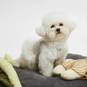 [루이독] 코지 걸 Top