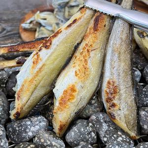 농가살리기 반건조 노가리 (강원도 건조) 반건조 통 노가리 500g (9미내외)