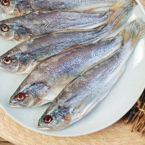 비늘이 제거된 반건조 민어(가이석태속) 20미(미당 100~150g)