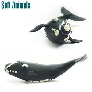 동물학습 반디 동물모형 북방긴수염고래