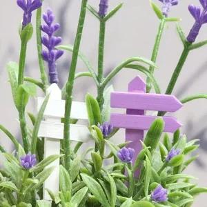 예쁜 식물 이름표 10P