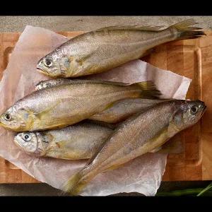 [st푸른농원]창해수산 참조기 특대 5마리