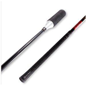 [신세계몰]투딘 드라이버 리드믹 스윙연습기 골프스윙트레이너