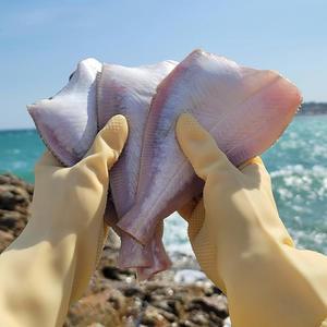 국내산  손질 참가자미  동해안 가자미 10미