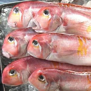 [제주에스에프] 제주옥돔 150g×7팩