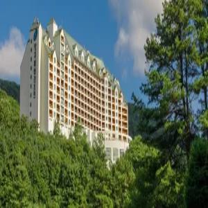 [경기] 양지파인리조트(경기, 용인)