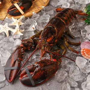 [롯데백화점]자연맛남 수율보장 항공직송 활랍스터 850내외 1마리