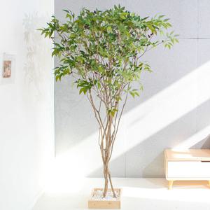 올리브나무 조화 인조 220cm 인테리어 조경 장식 대형 카페 거실 개업