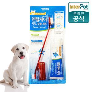 덴탈케어 치약+칫솔세트 70g (플레이 독)/강아지칫솔
