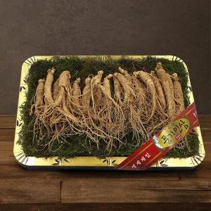 [풍기인삼] 5년근 수삼 1채 750g (20-25뿌리/등바구니)