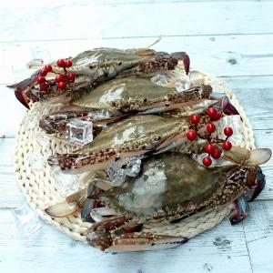 싱싱한 국내산 알배기 급냉 암꽃게 3kg 중대 사이즈