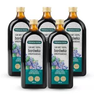 프리미엄로사 블루베리 원액 즙 100% 500ml 5병