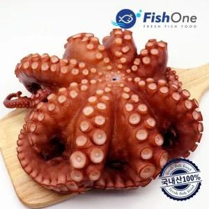 국내산 자숙 통문어 한마리 1.2kg